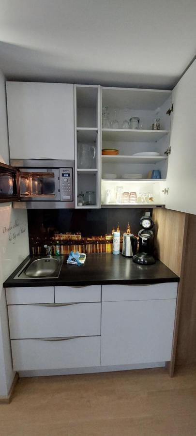 Appartements Am Schillergarten Dresden Buitenkant foto